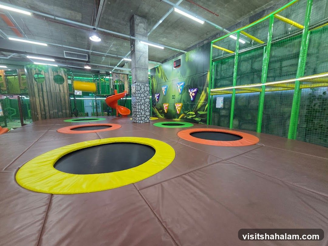 Indoor Trampoline Park