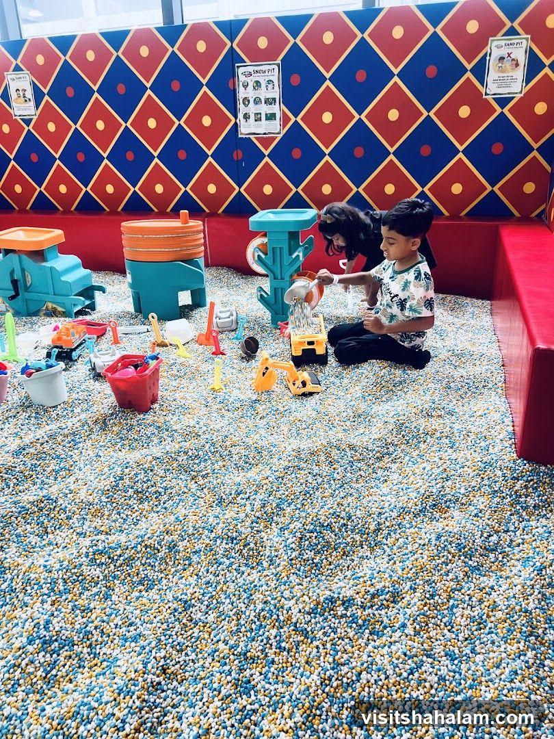 Children Playing in a Ball Pit
