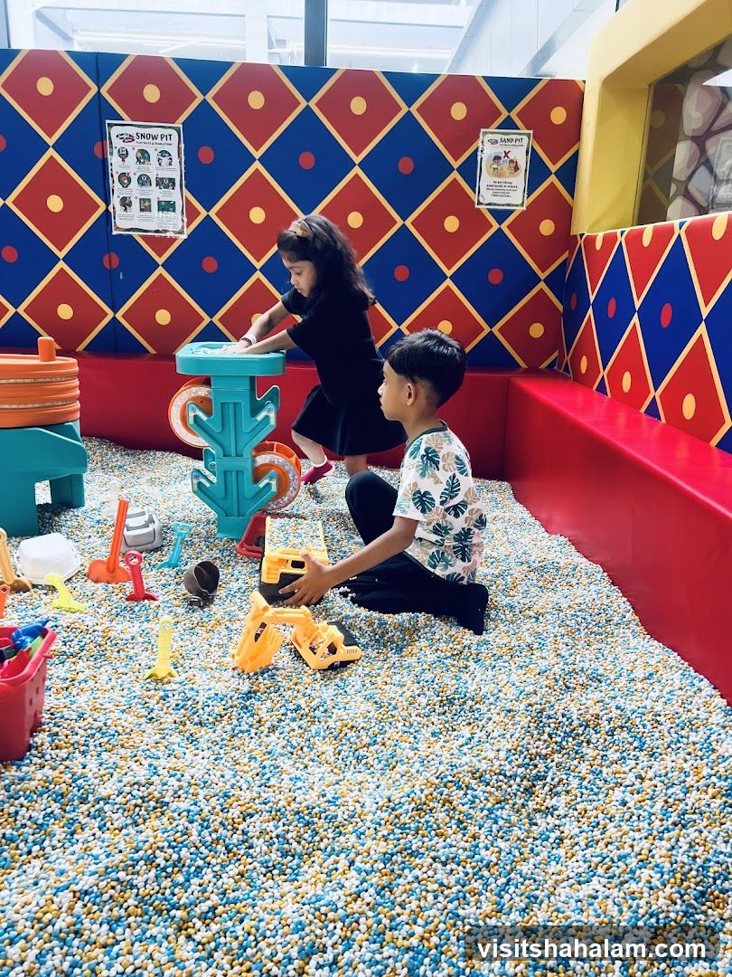 Children Playing in a Ball Pit