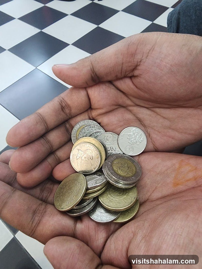 Hands holding coins
