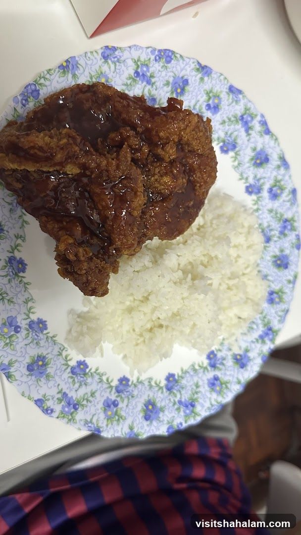 Fried chicken with rice