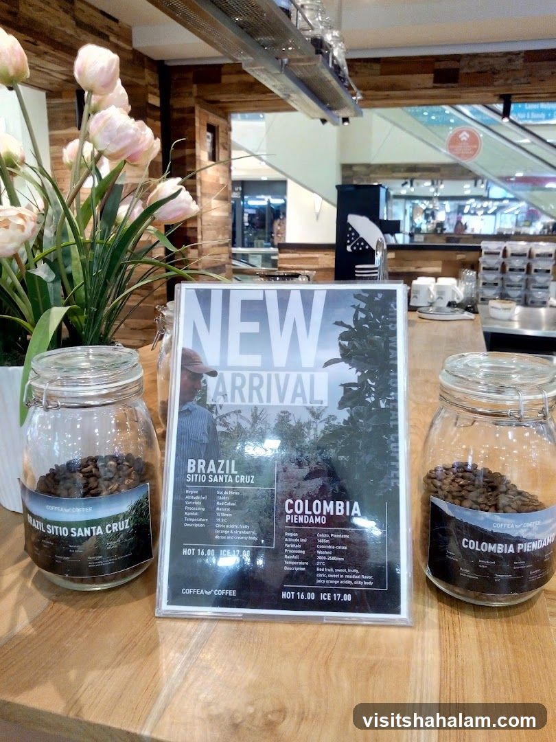 New Arrival Coffee Beans