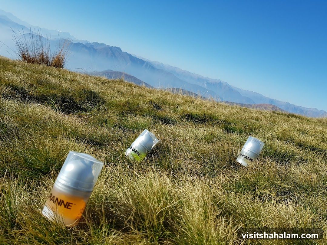 Three bottles in a grassy field with mountains in the background
