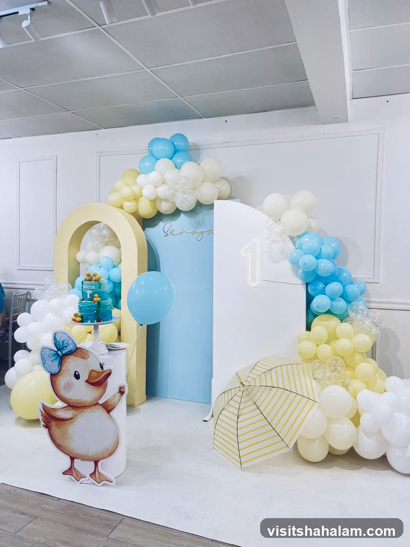 Birthday Party Decoration