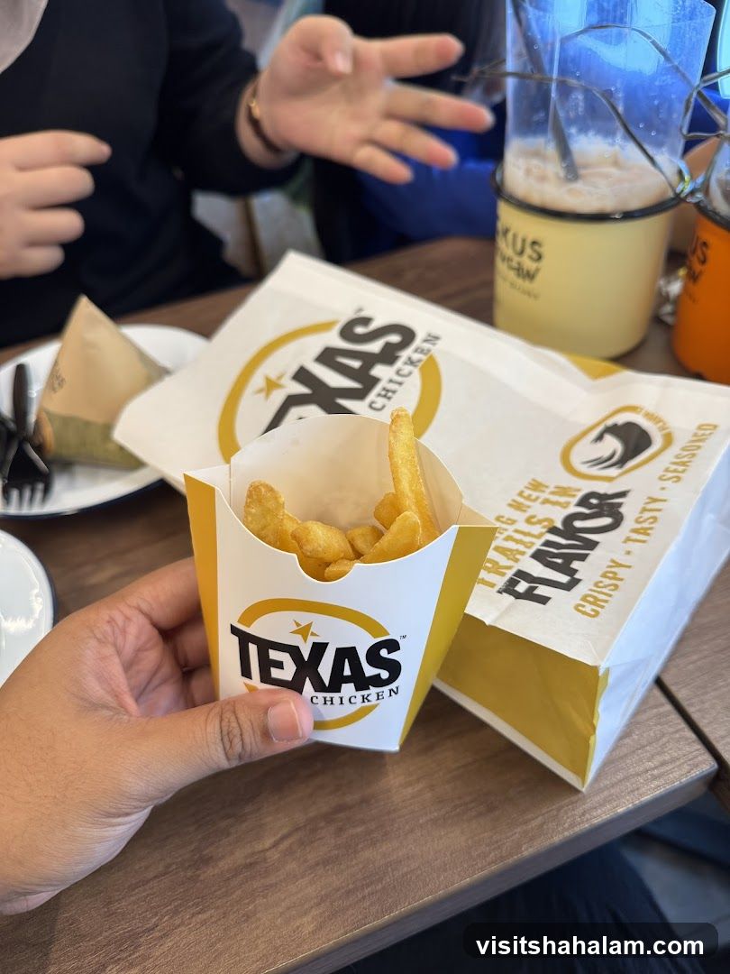 Texas Chicken Fries