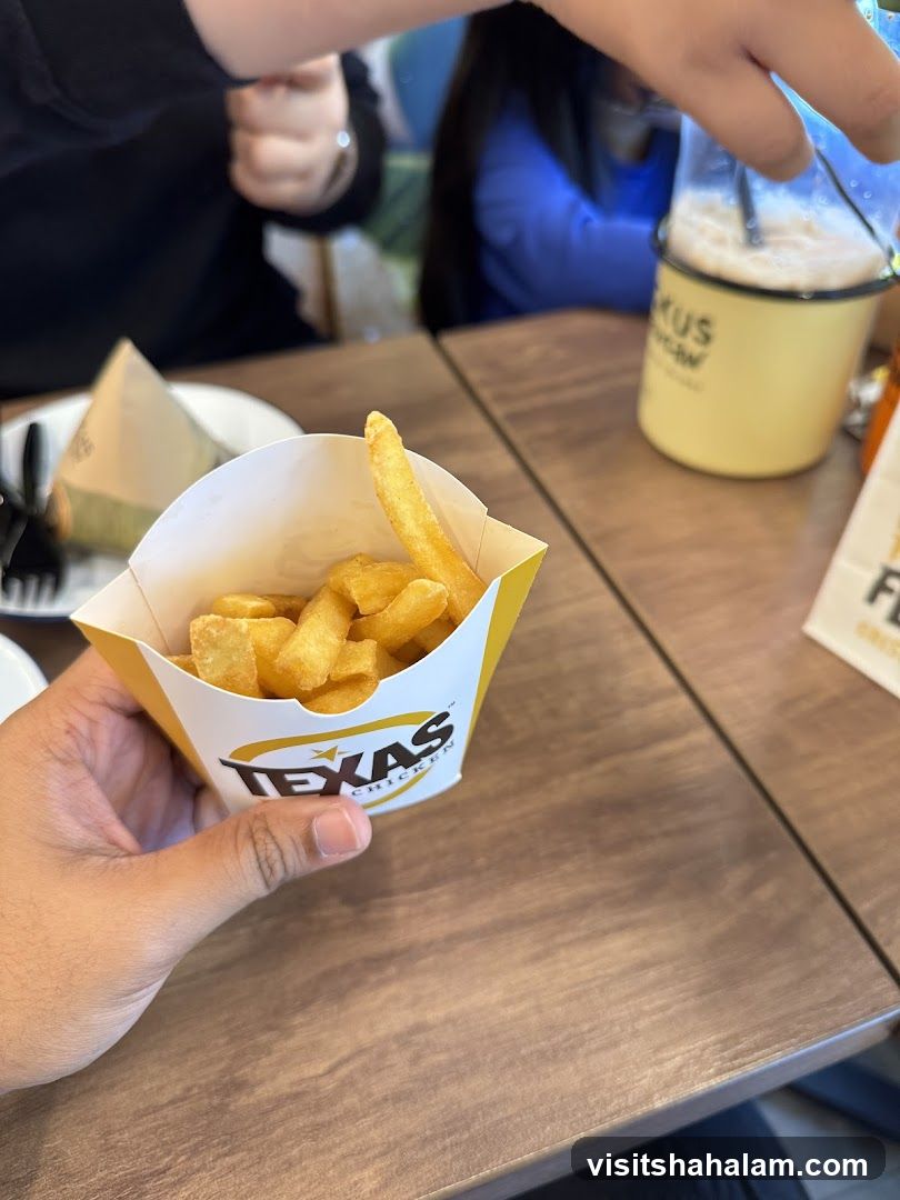 Texas Chicken Fries
