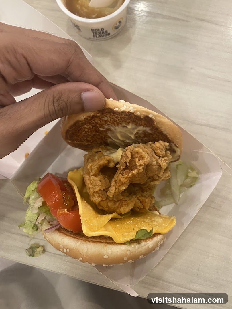 Burger and Dip