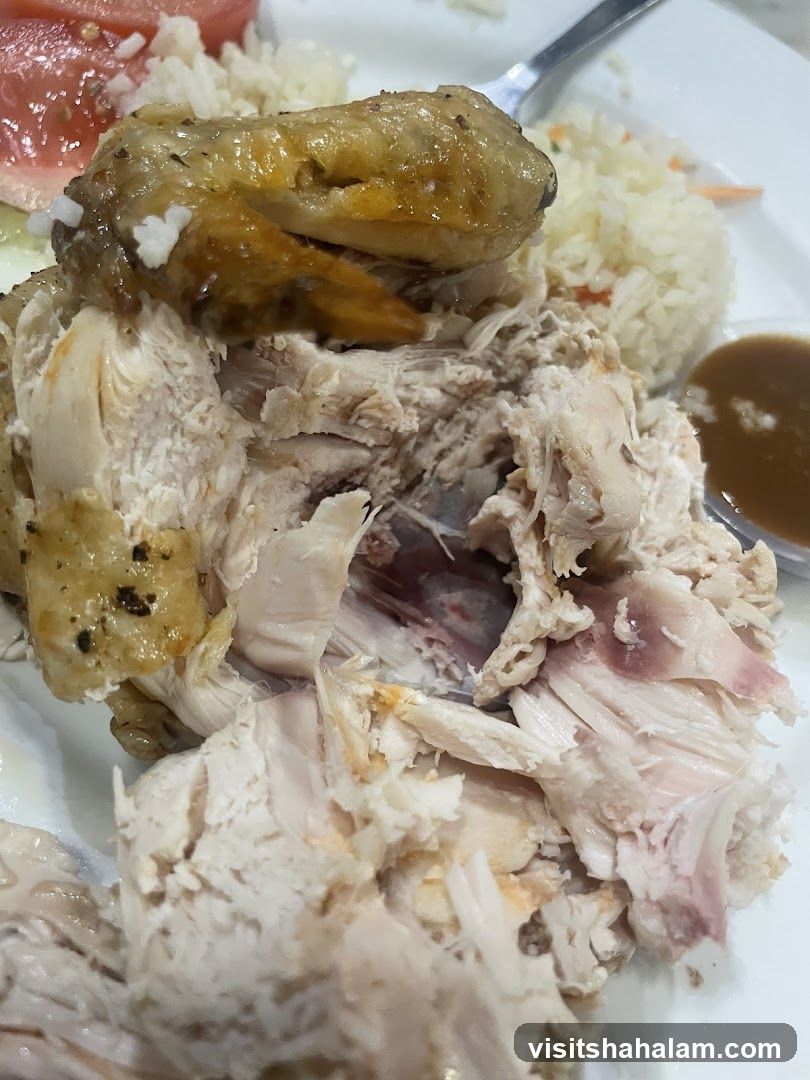 Shredded Chicken with Rice