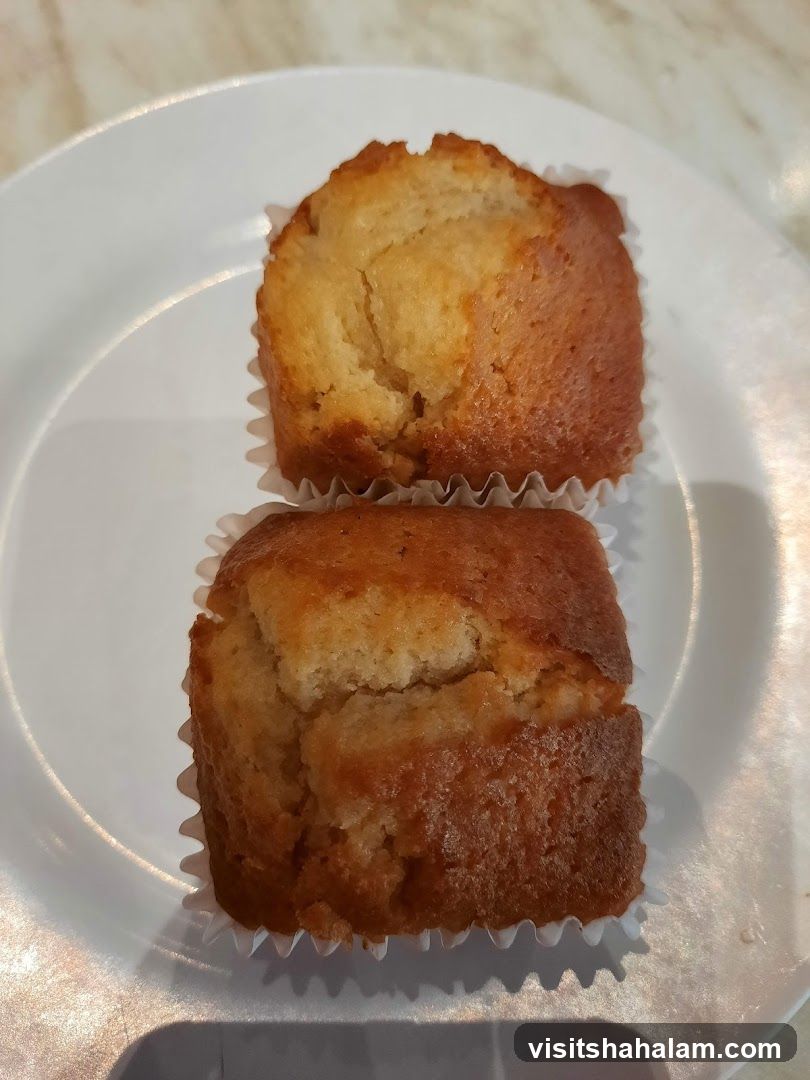 Two Muffins on a Plate