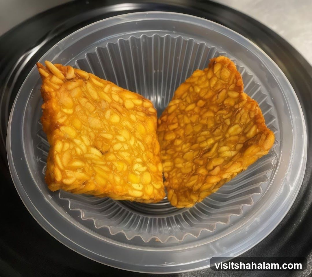 Fried Tempeh Slices