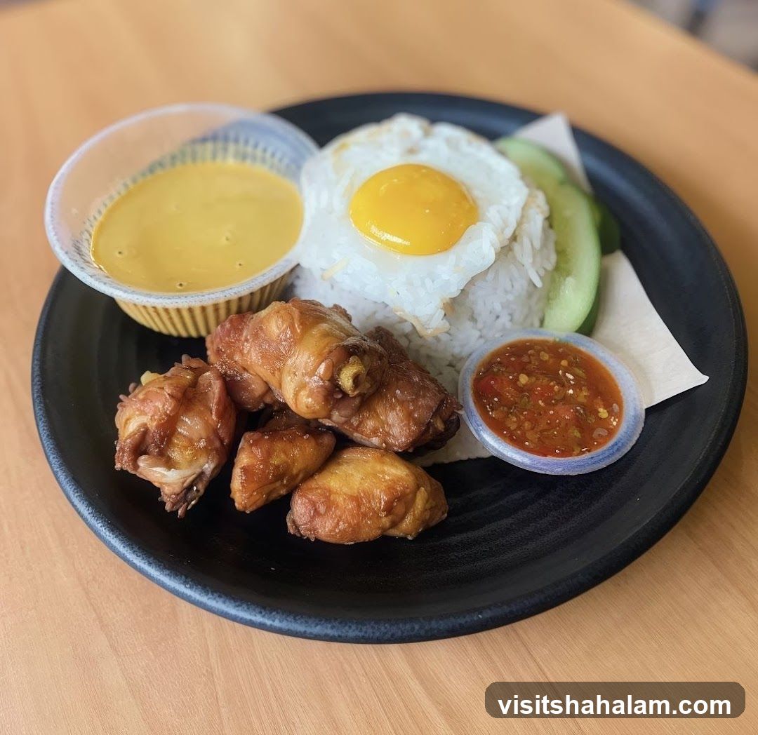 Fried Chicken Wings with Rice