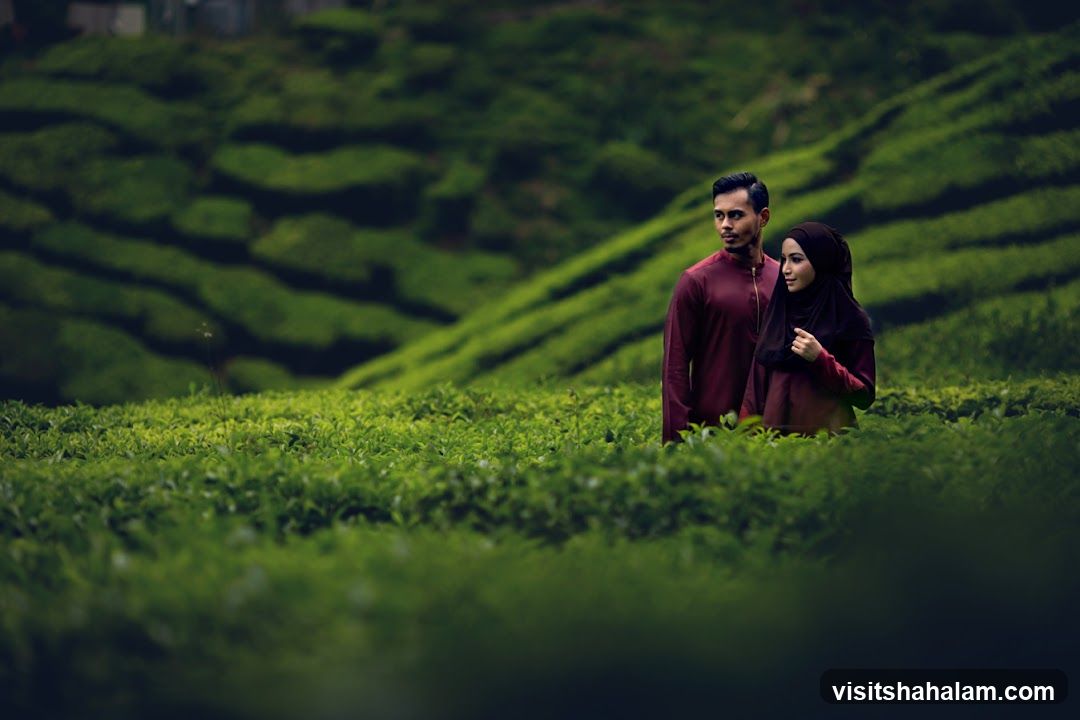 Couple in Tea Plantation