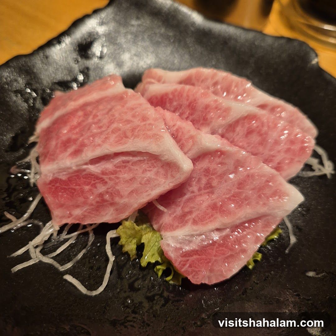 Sashimi Slices