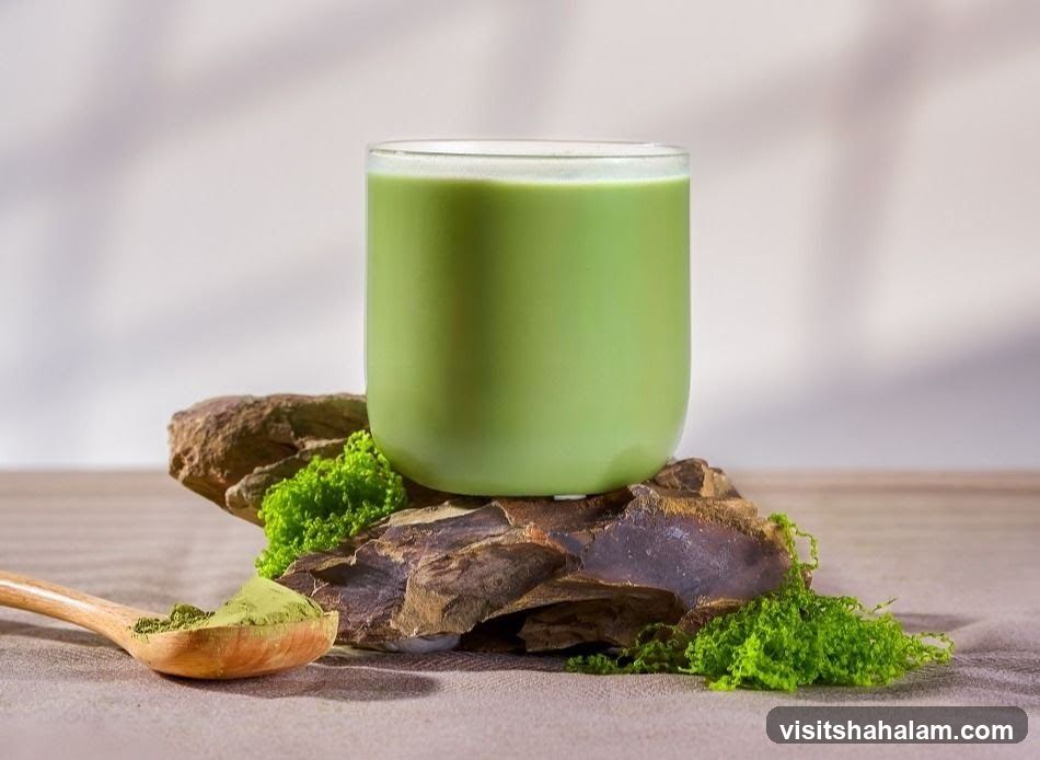 Matcha Drink
