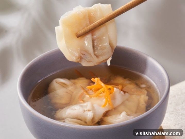 Wonton Soup