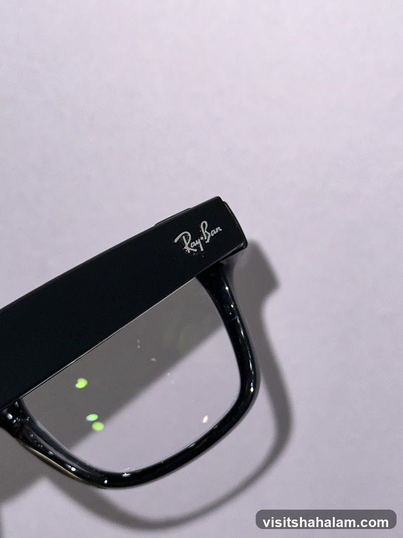 Ray-Ban Logo on Glasses