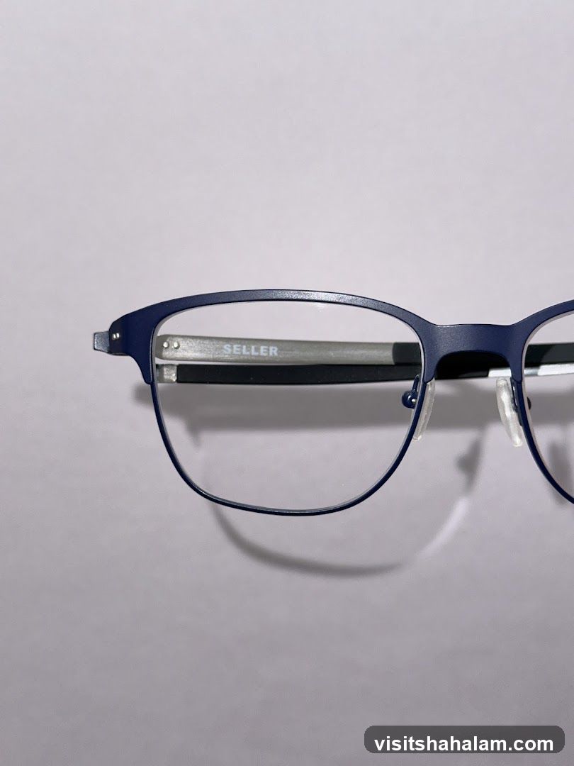 Eyeglasses