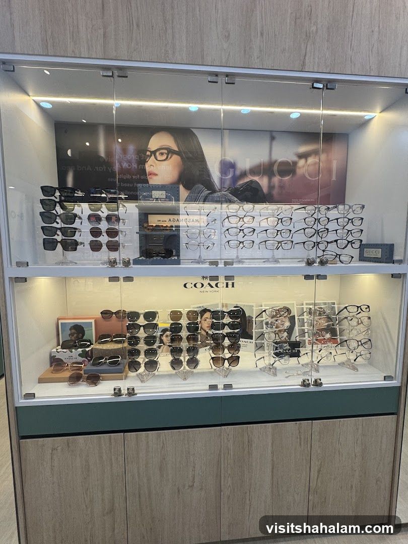 Eyewear Display Case