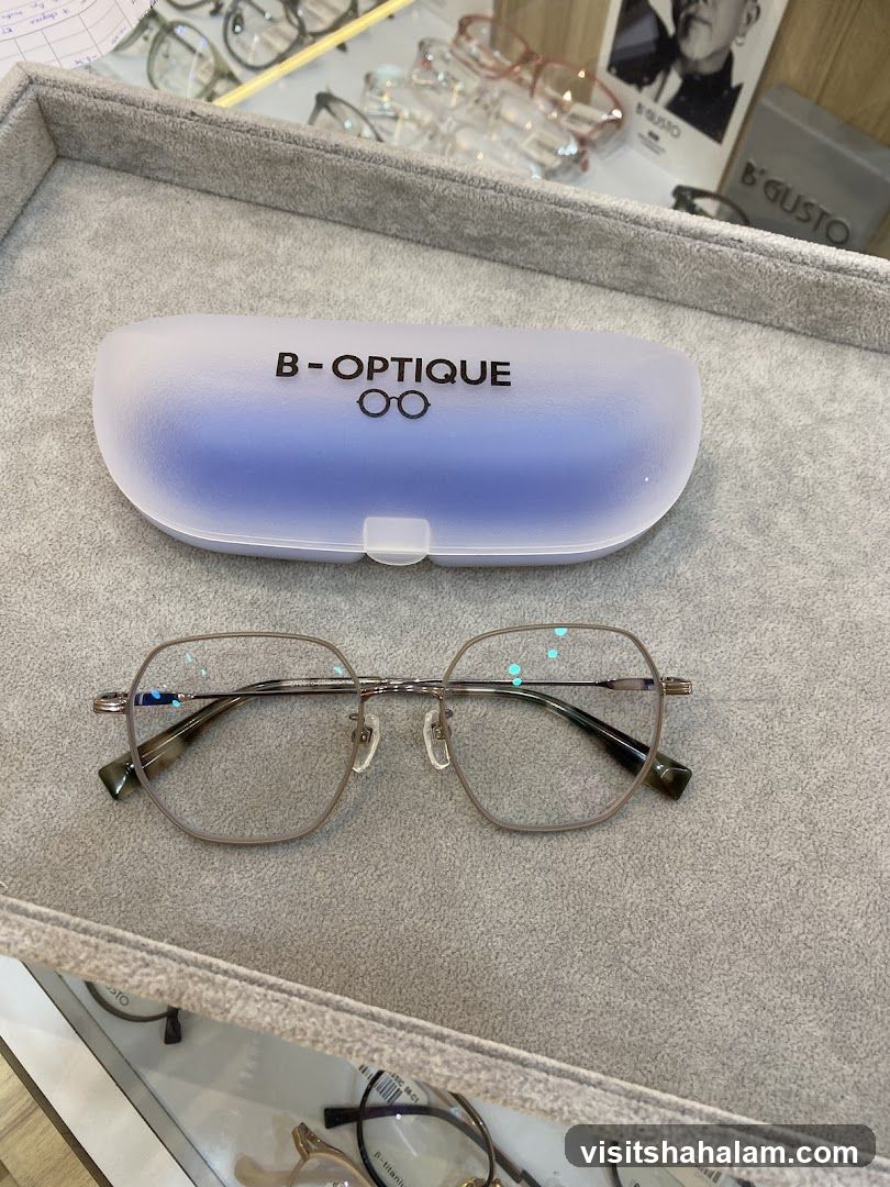 Eyeglasses and Case