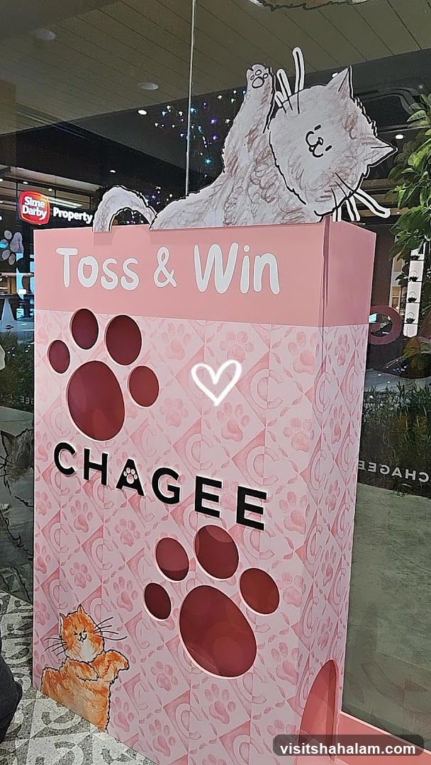 Toss & Win Game Display