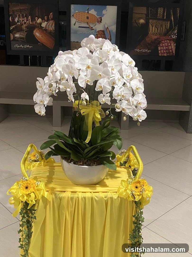 Orchid Arrangement