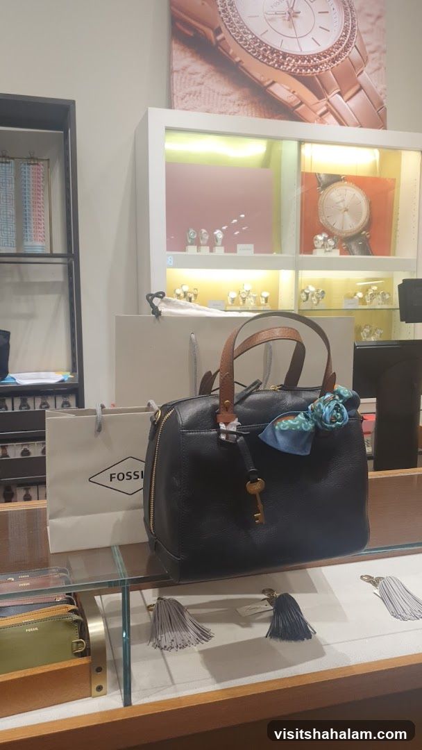 Fossil Store Display
