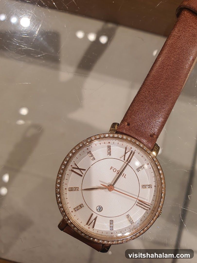 Fossil Watch