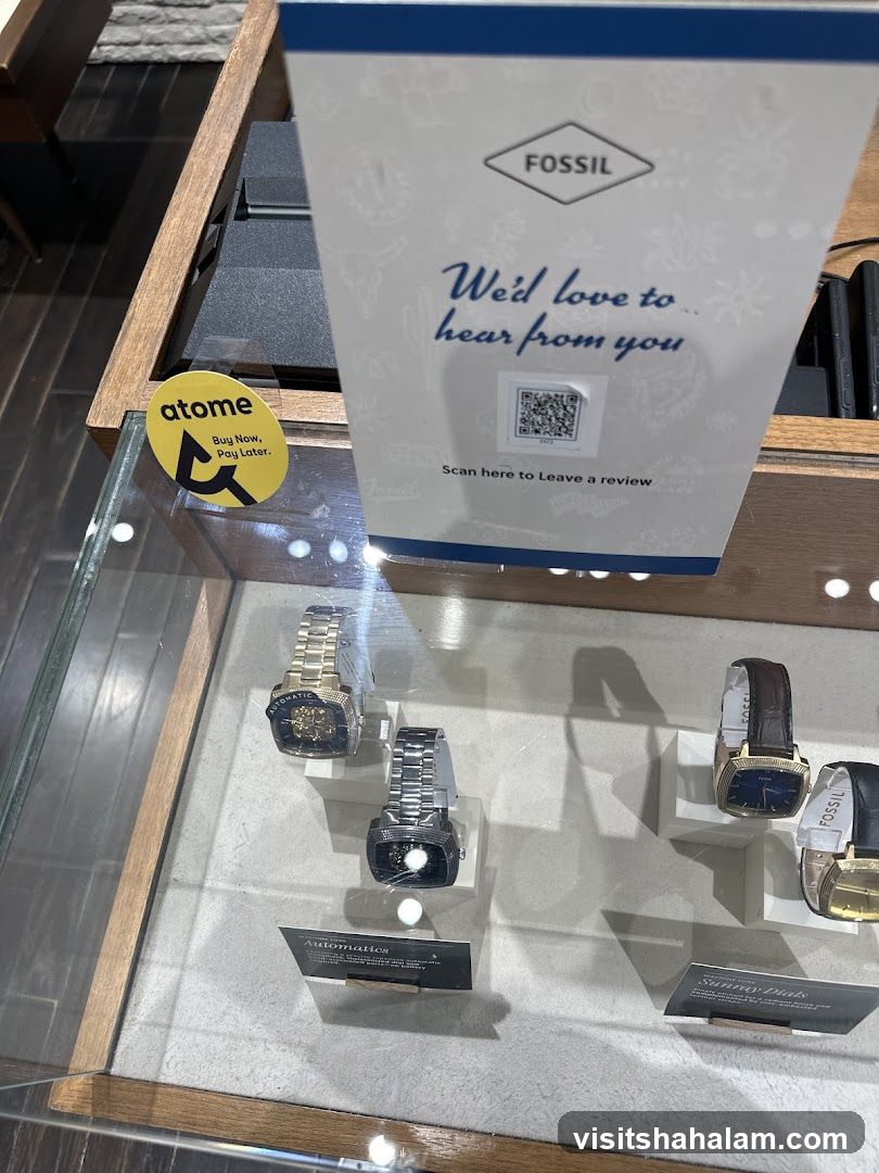 Fossil Watch Display