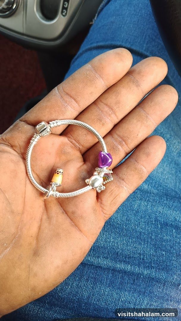 Charm Bracelet