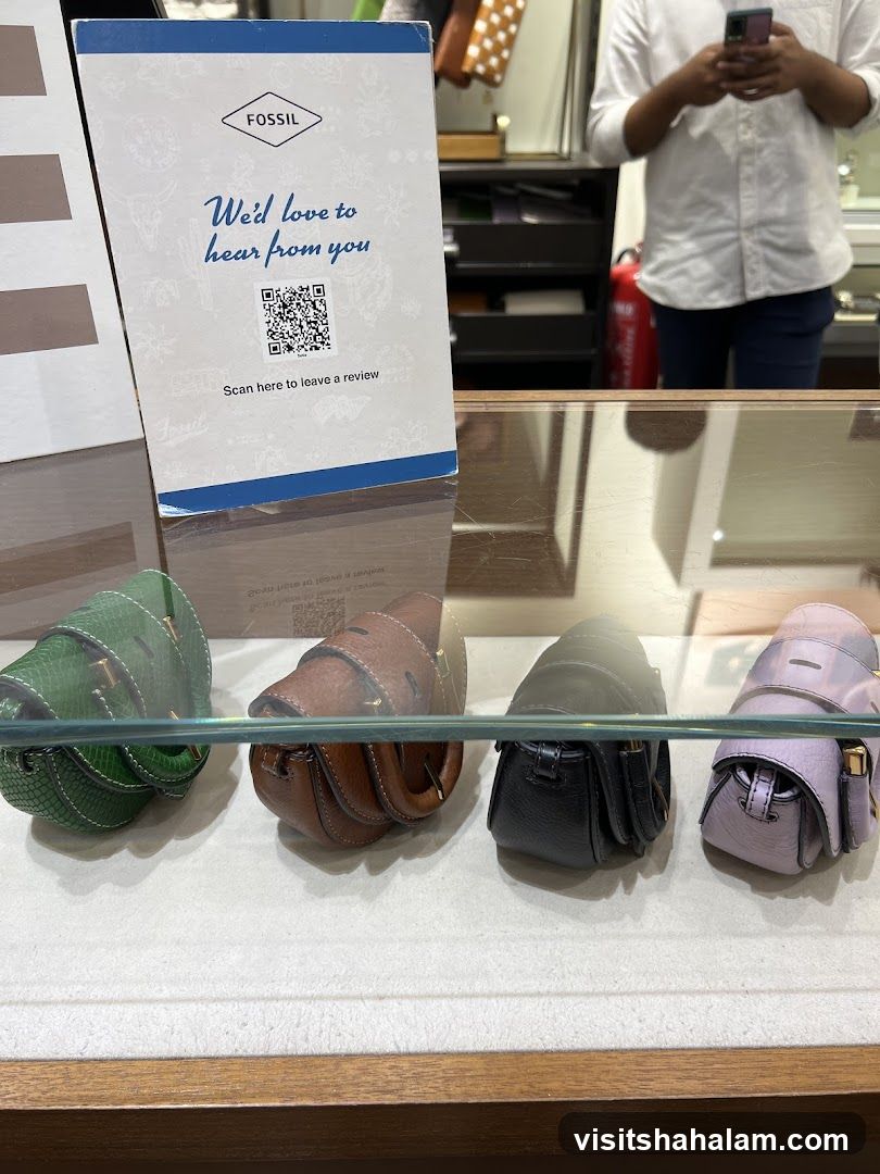Fossil display with small bags