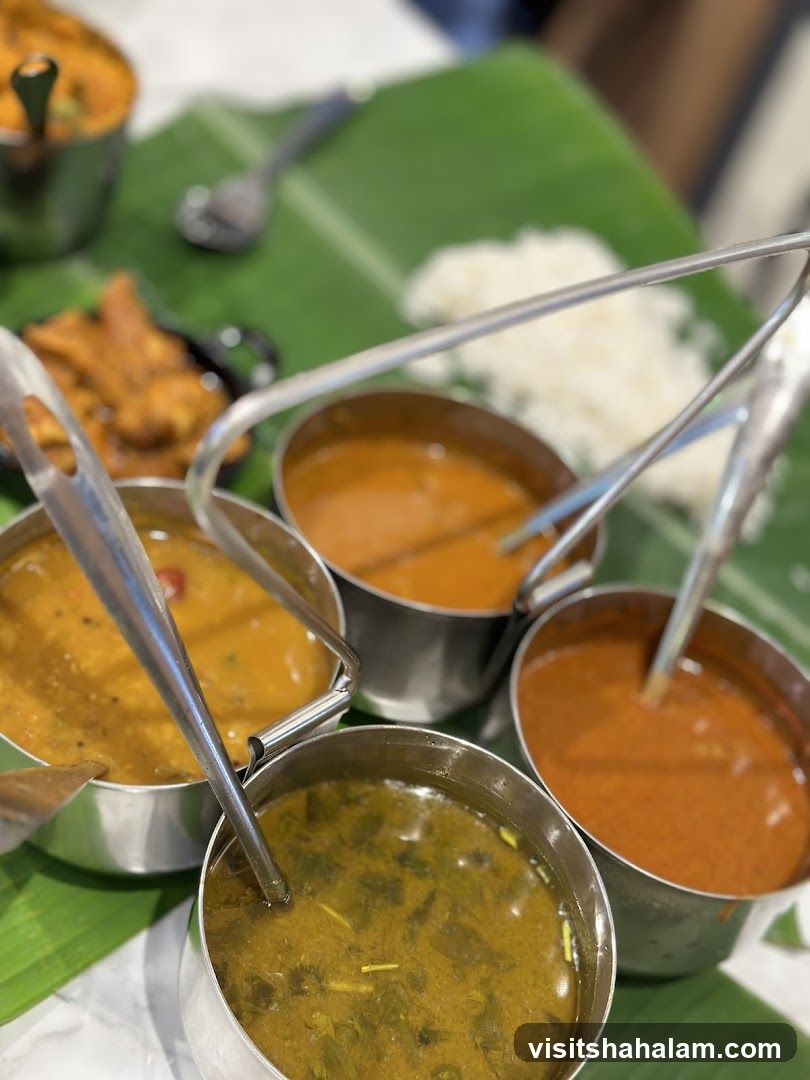 Indian Curries and Rice