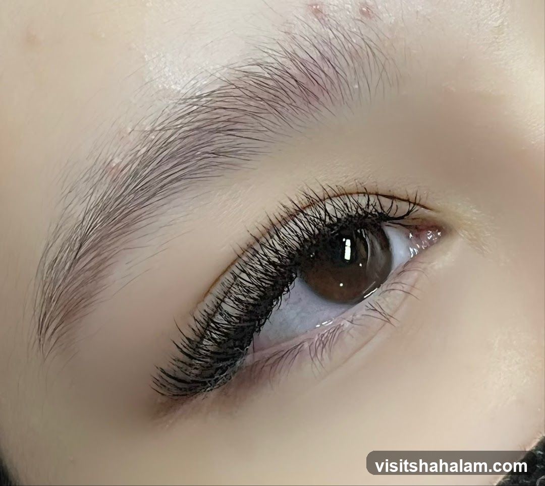 Close-up of an eye with eyelash extensions