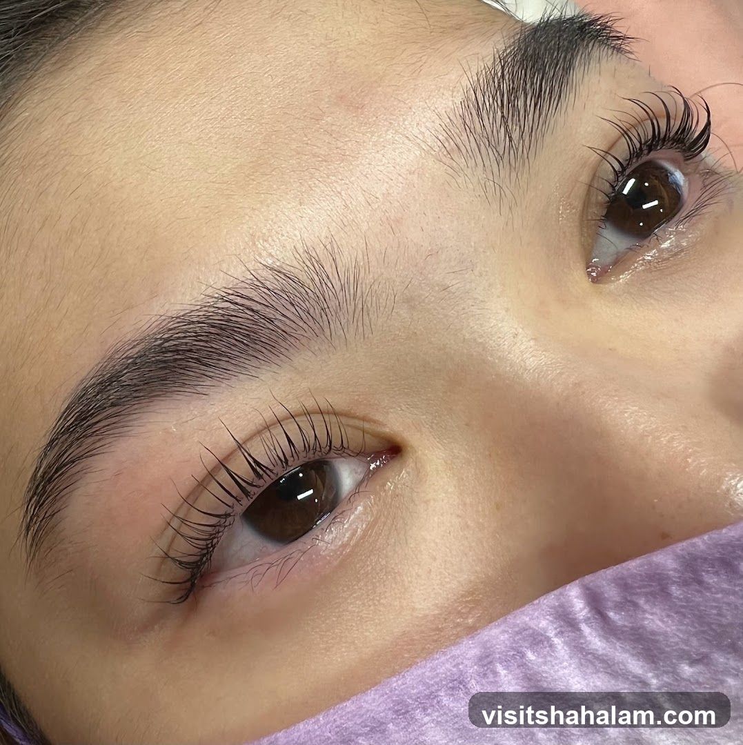 Lash Lift and Brow Lamination