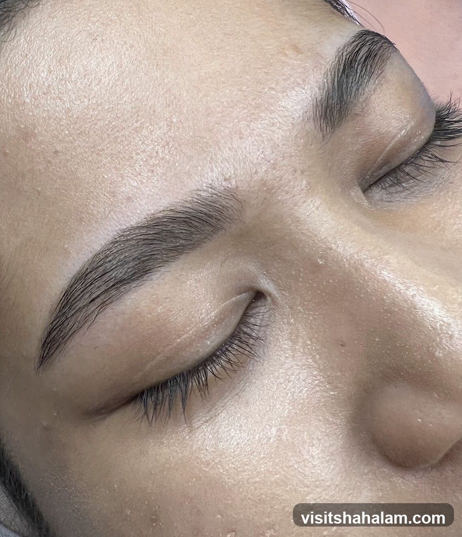 Close-up of Eyebrows