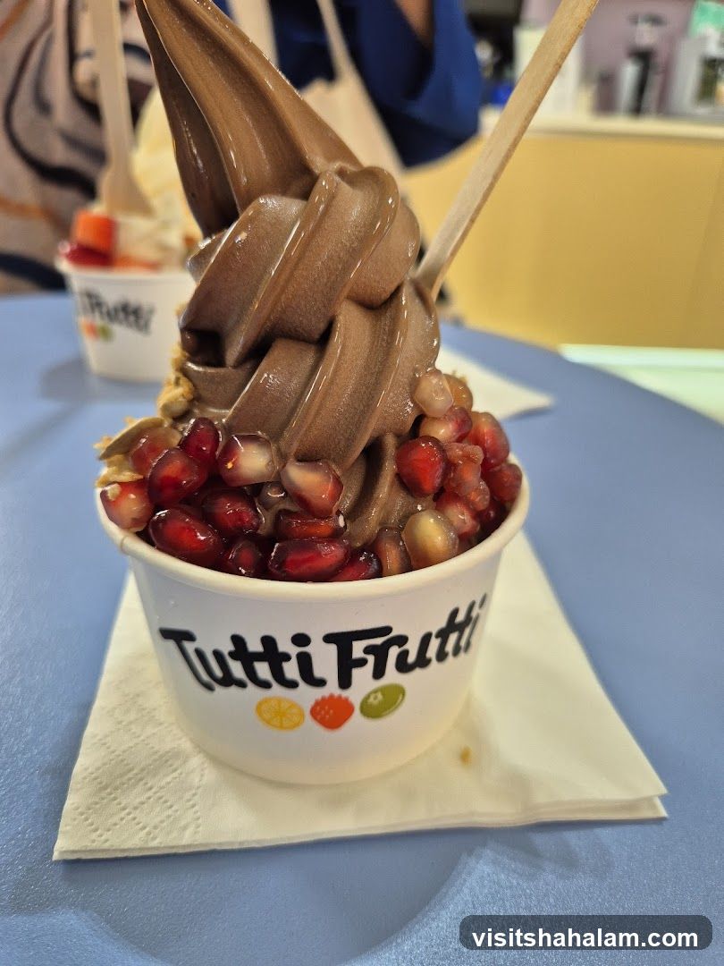 Chocolate Frozen Yogurt with Pomegranate Seeds