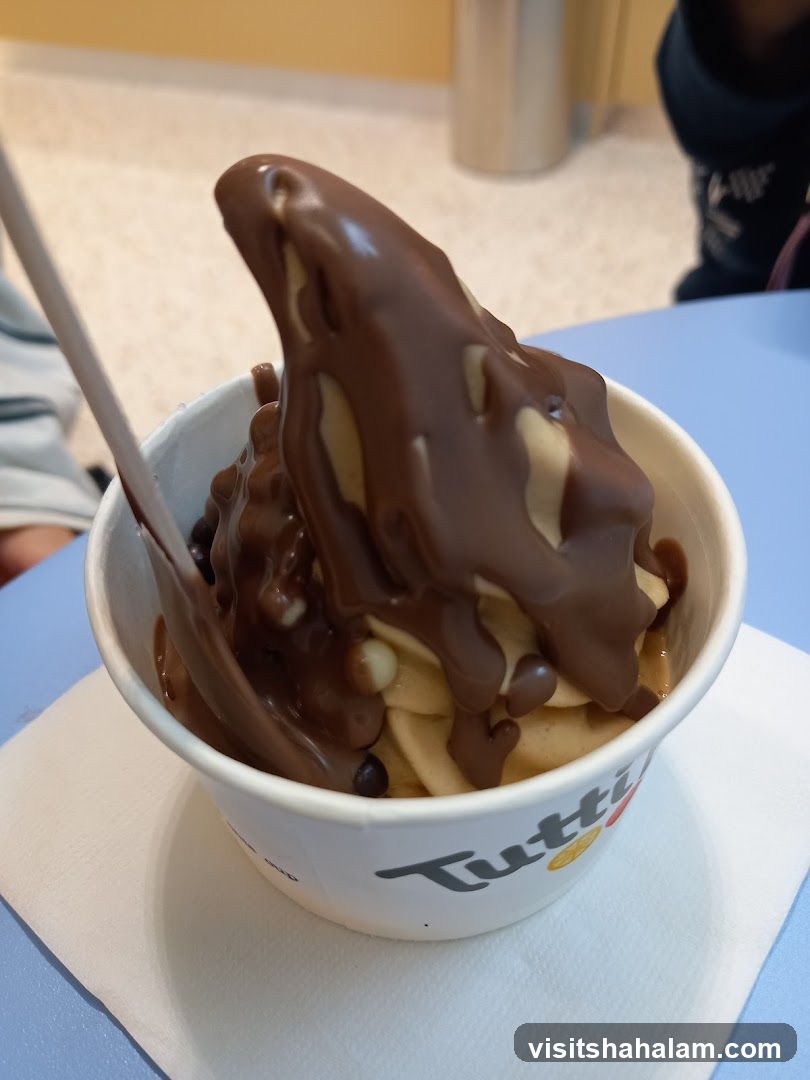 Frozen Yogurt with Chocolate Drizzle