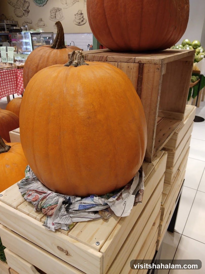 Pumpkins on Display