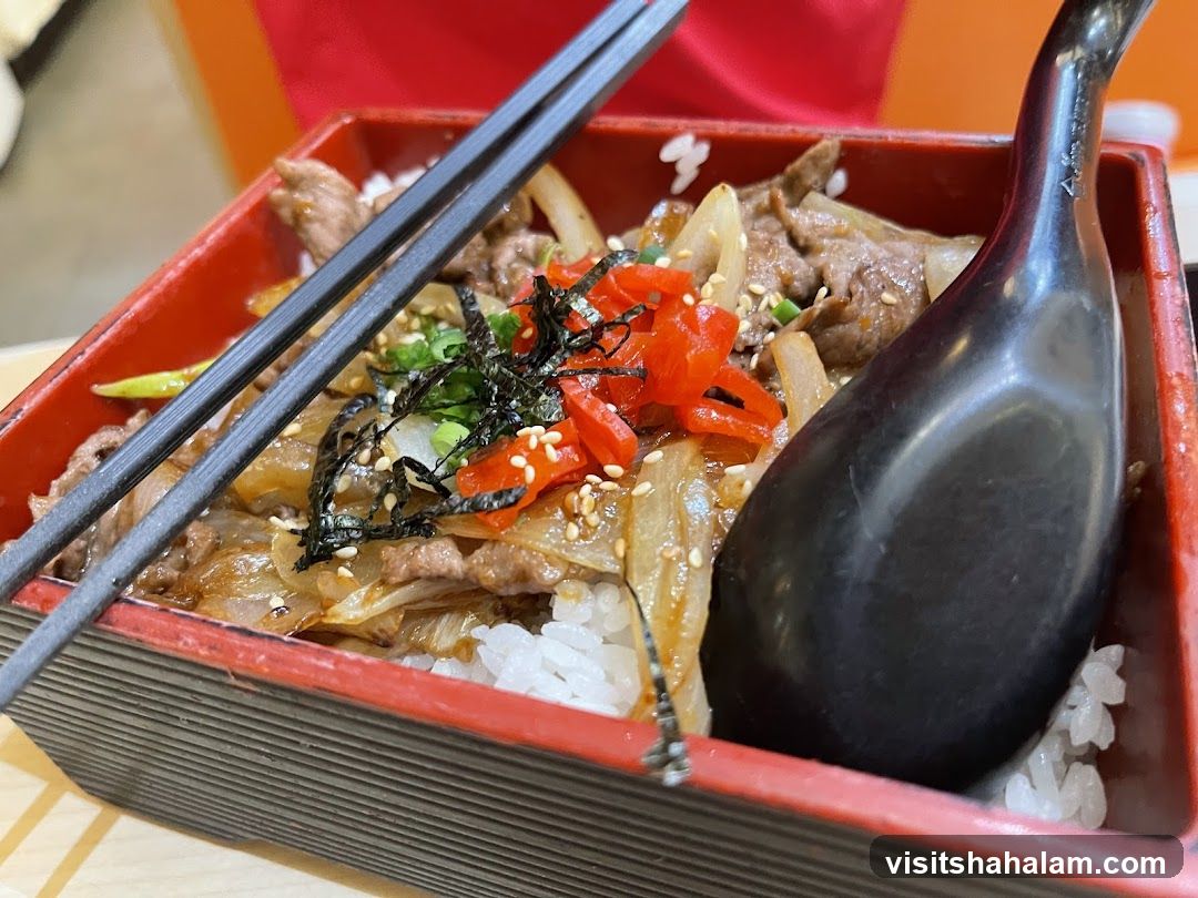Beef and Rice Bowl