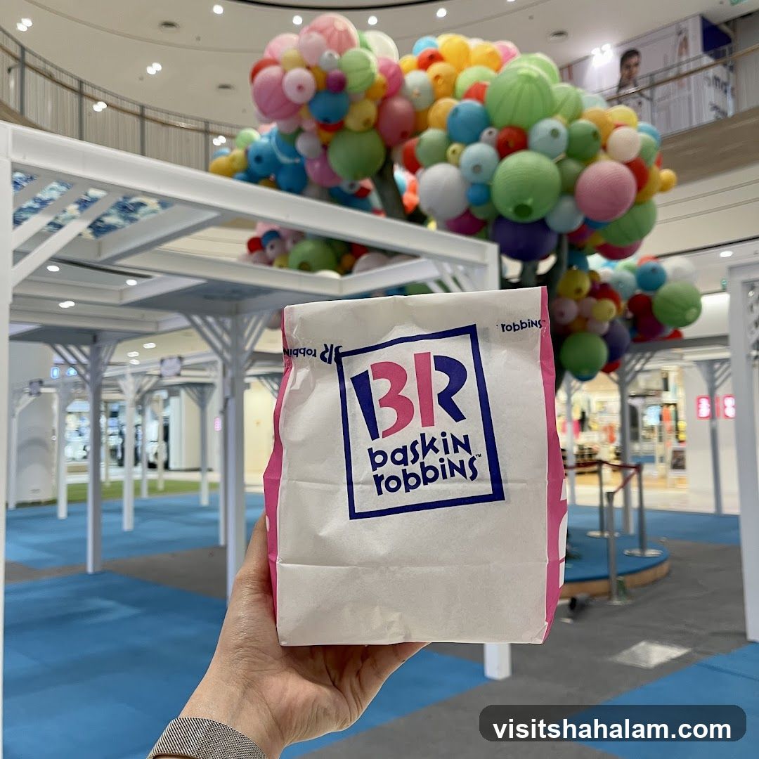 Baskin Robbins Bag