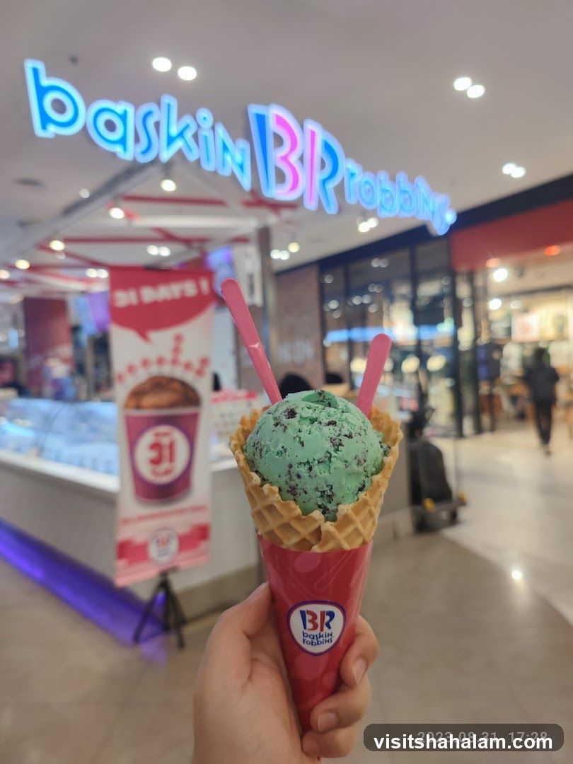 Mint Chocolate Chip Ice Cream Cone