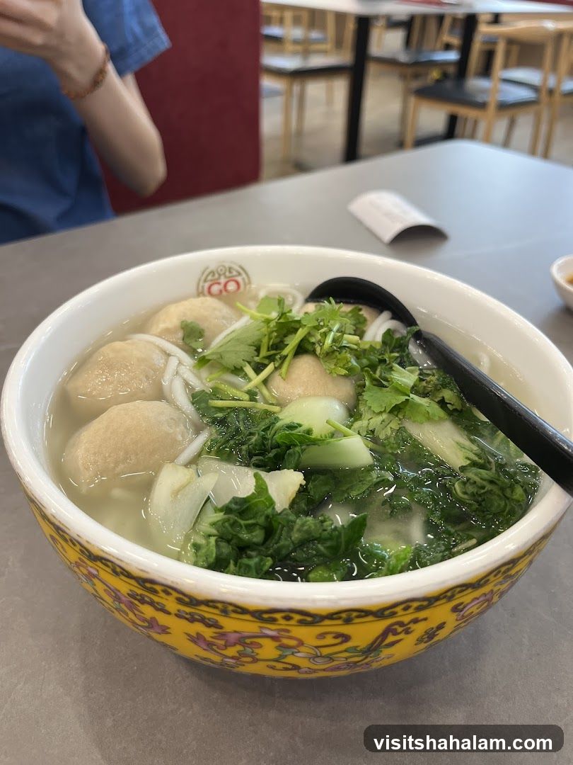 GO Noodle House Plus