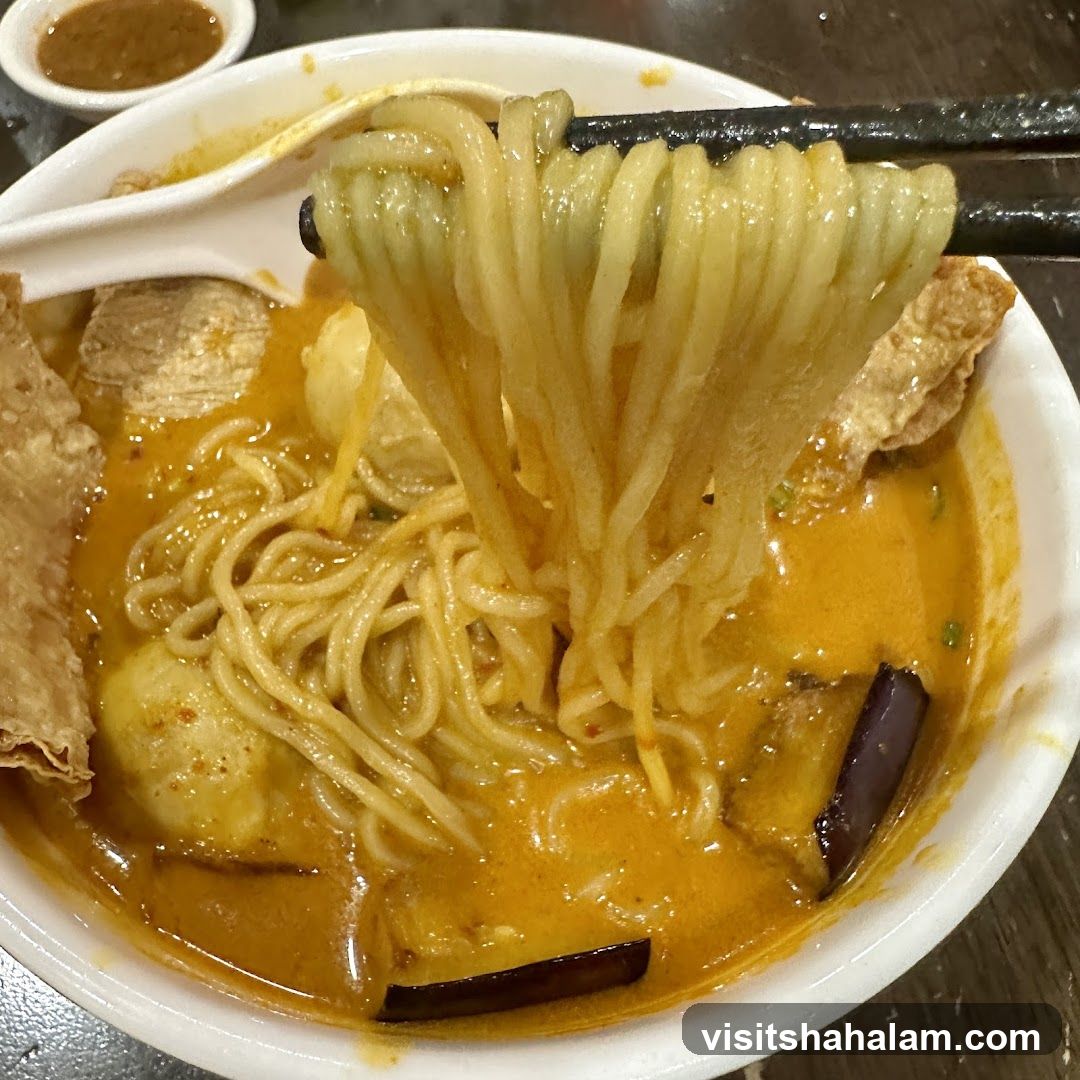 Curry Noodles