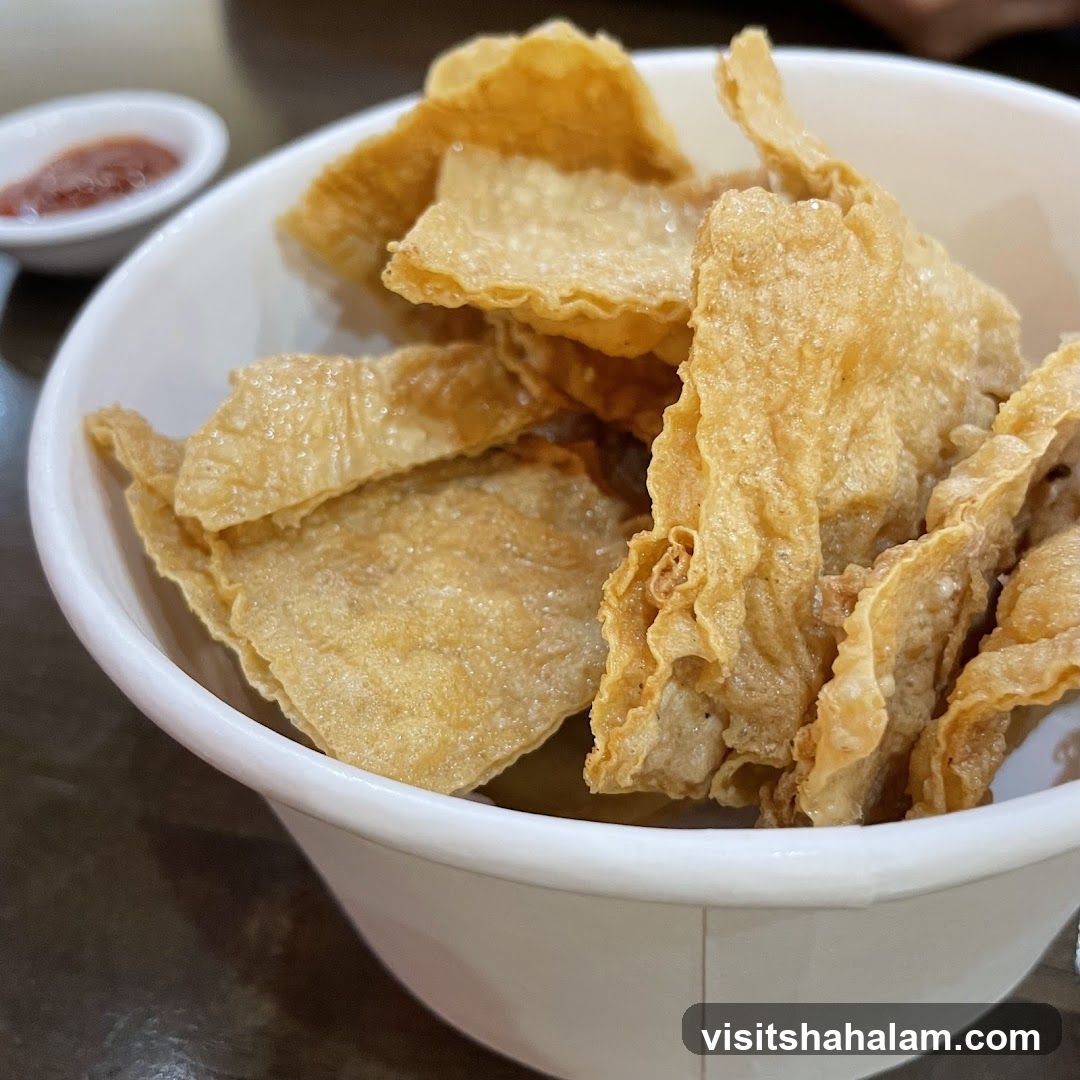 Fried Tofu Skin