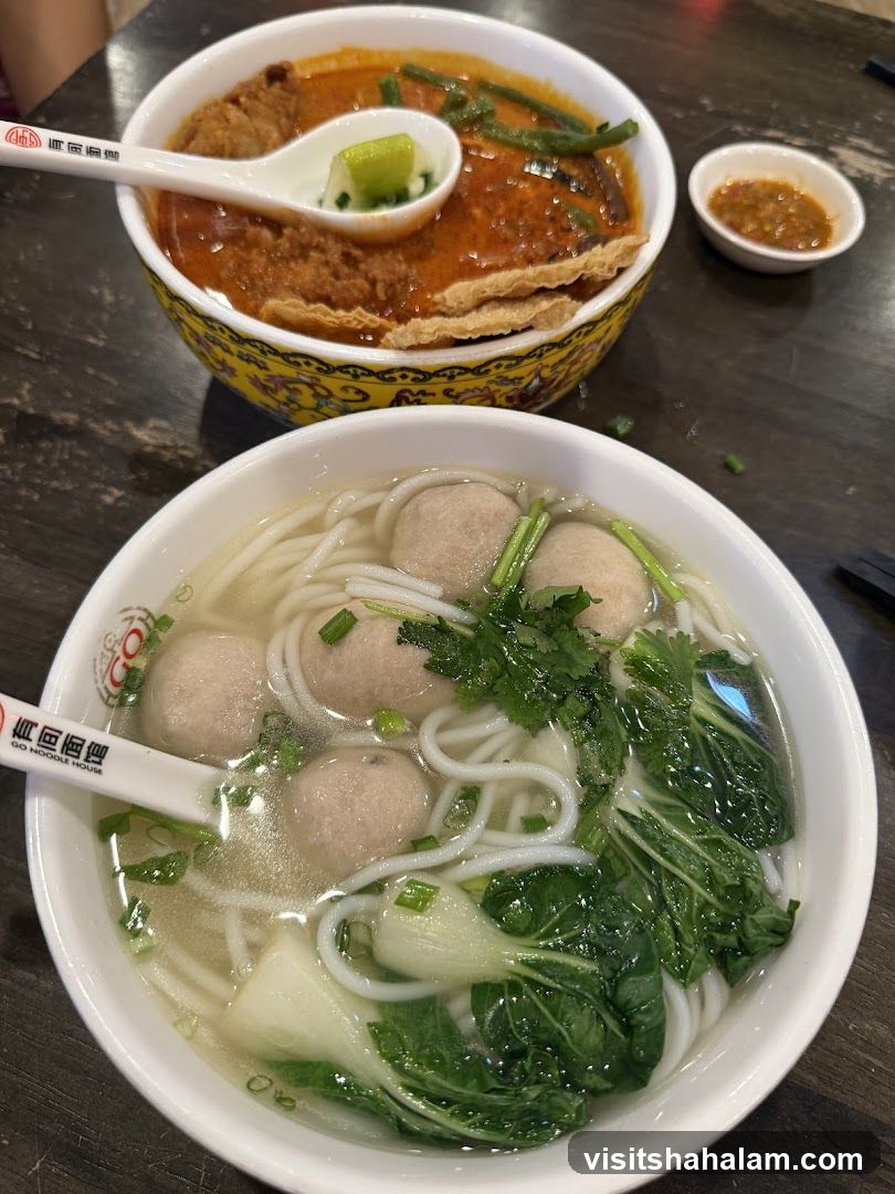 Noodle Soup and Curry Laksa