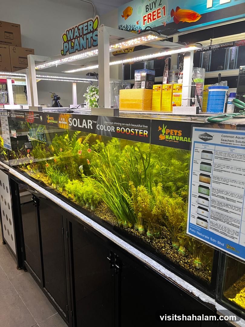 Aquarium Store Display