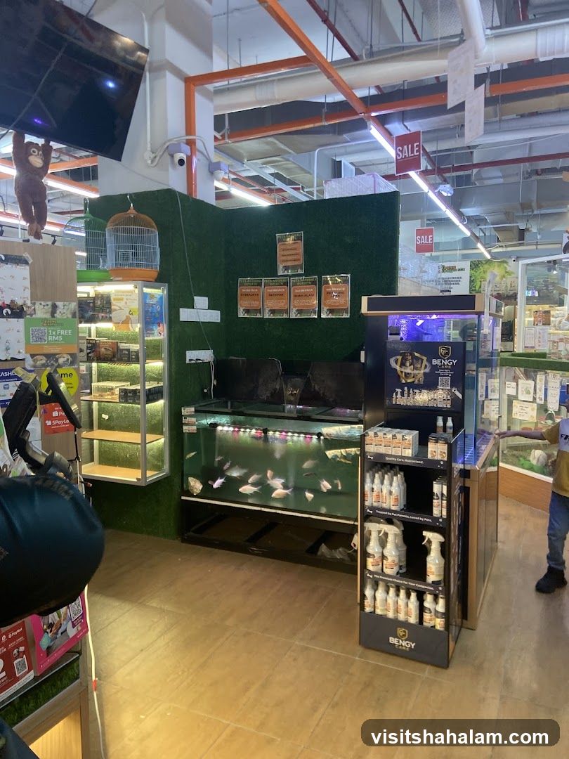 Pet Store Display