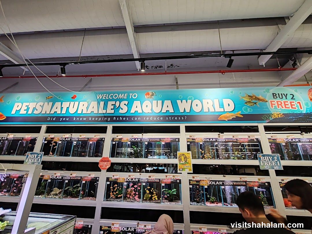 Pet Store Interior