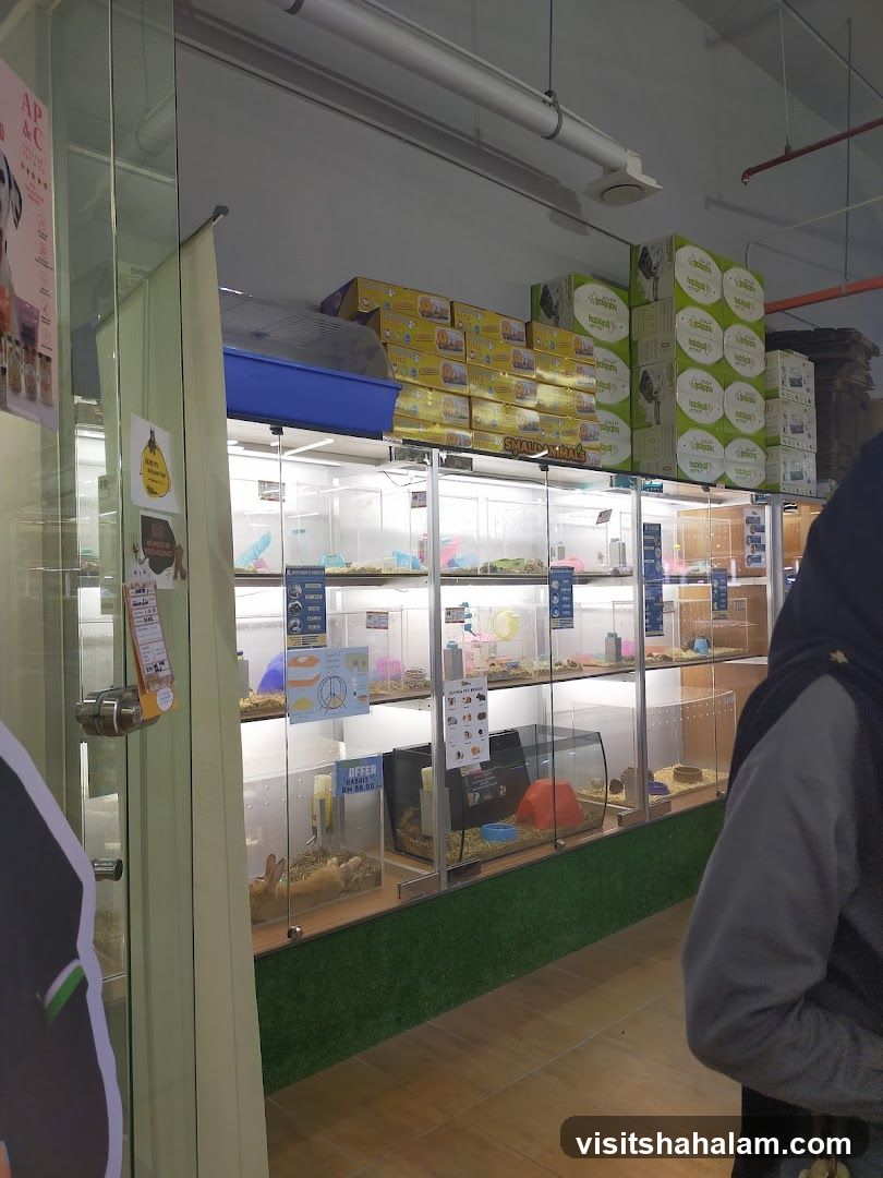 Pet Store Interior