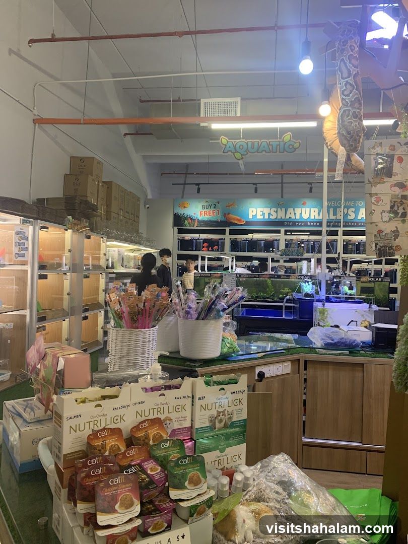 Pet Store Interior