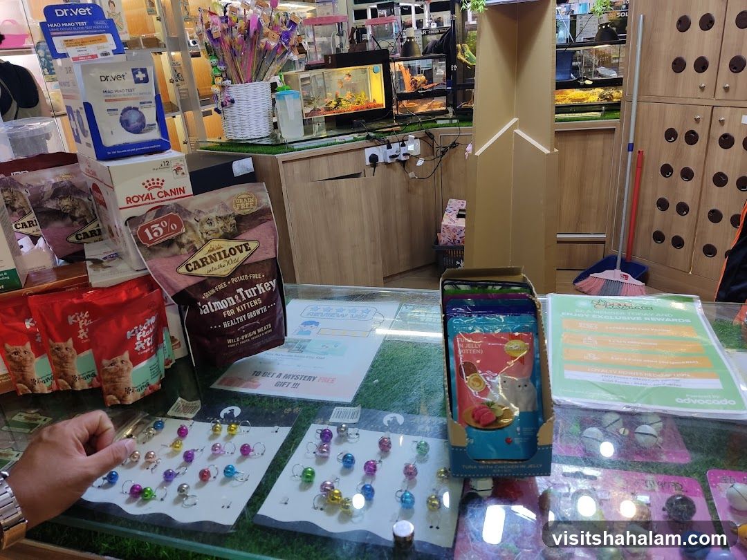 Pet Store Display